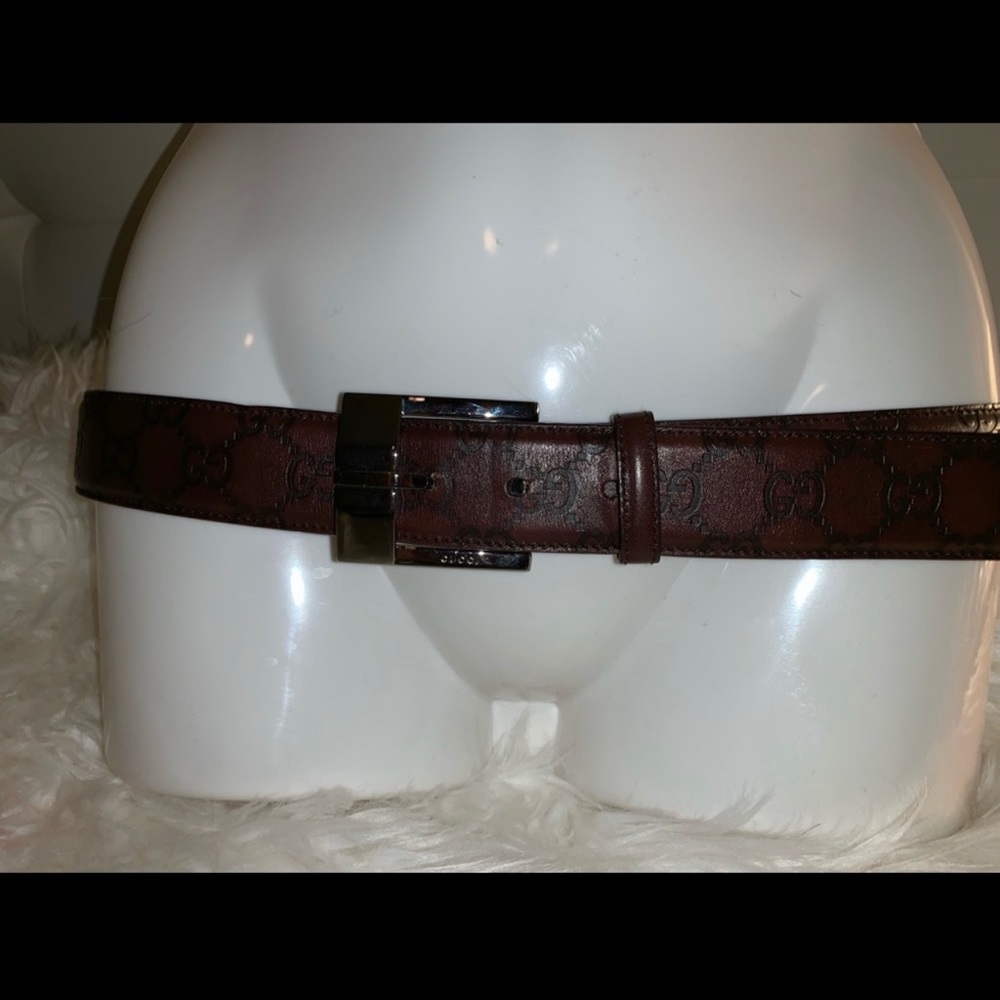 Gucci Guccisma  brown Belt Authentic